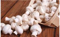 如何烹饪蘑菇最健康？西班牙科学家：烤着吃