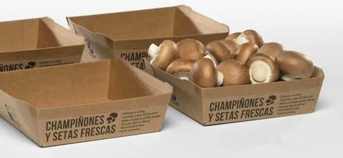 西班牙企业成功研发出用纸板包装栽培蘑菇的配方