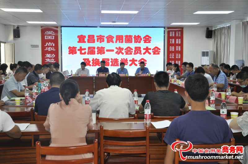 宜昌市食用菌协会换届选举暨第七届第一次会员大会成功召开