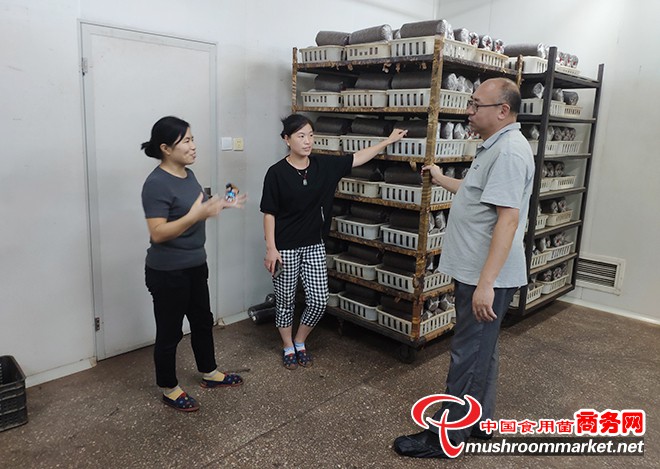 北京食用菌协会赴河北开展技术服务指导工作