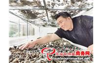 内蒙古扎兰屯市：种植黑木耳 助农增收