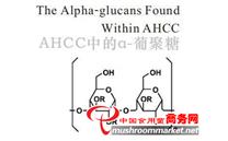 香菇提取物AHCC有助于治疗HPV