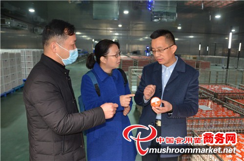 央视农业频道记者闫红、姚明广一行深入报道随州市香菇产业发展