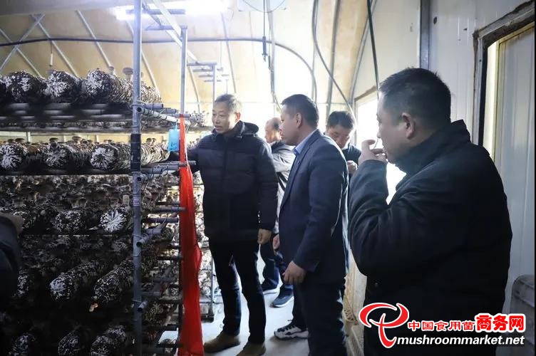 江苏省淮安市水利局周海滨副局长到七河生物公司考察香菇产业