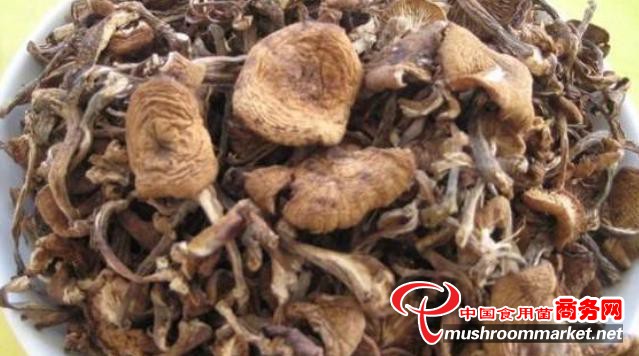 冬季来到黑龙江省牡丹江市，这两种食用菌特产远近闻名，千万不要错过