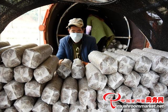 贵州省赫章县：种植食用菌 闯出产业发展新路子