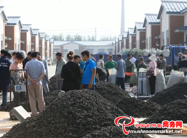 黑龙江省东宁市：发展木耳产业 助力农民增收致富