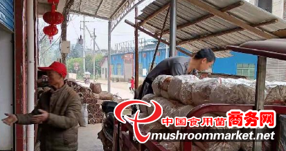 山东省五莲县：让羊肚菌产业插上电商的翅膀
