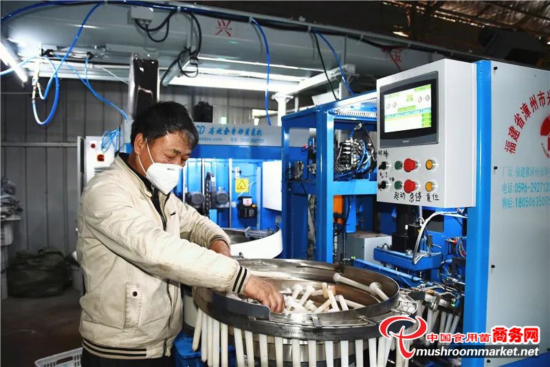 浙江省武义县自主研发的秀珍菇全自动料棒加工生产线投入使用