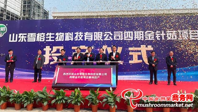 山东雪榕生物公司总投资3亿元金针菇项目投产