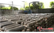 湖北省崇阳县：香菇菌棒培育忙 拓宽群众致富路