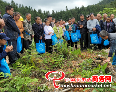 贵州黎平县岩洞镇组织开展茯苓种植技术培训