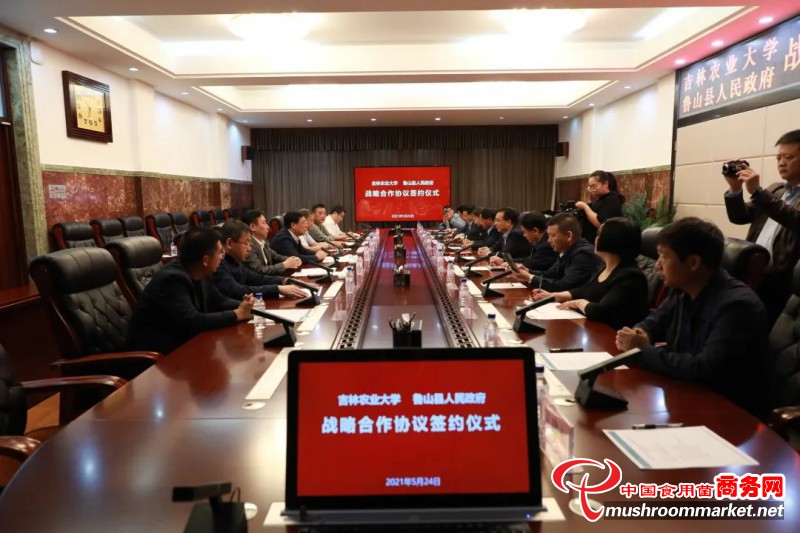 吉林农业大学与河南省鲁山县人民政府签署合作协议 在食用菌产业科技创新方面展开深入合作