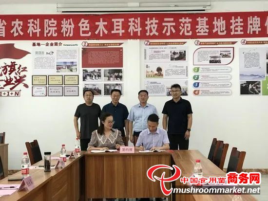 四川省农科院粉色木耳科技示范基地在山东惠民挂牌成立