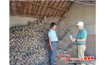 安徽农业大学园艺学院陶鸿教授前往宣城市开展香菇生产技术指导工作