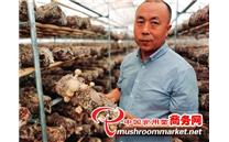 宁夏银川市：小小食用菌 撑起大产业