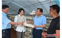 湖北省随州市：推进香菇产业数字化 拥抱香菇发展“新蓝海”
