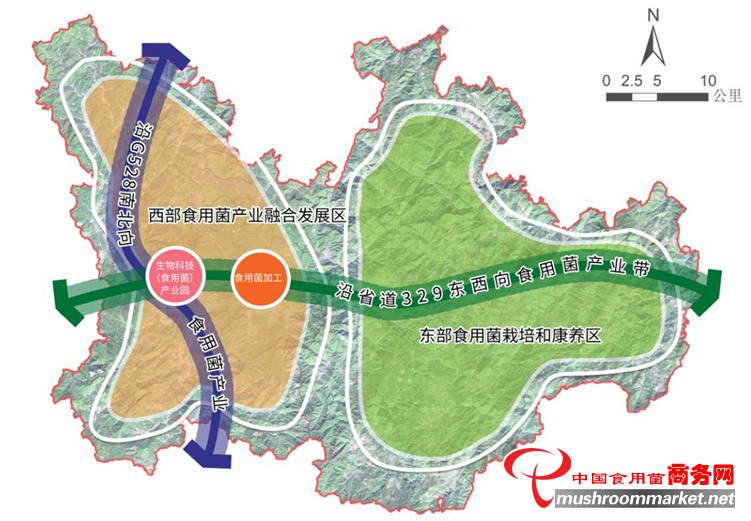 浙江省庆元县成为2021年省级食用菌“两业融合”发展试点区域