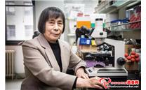 中国科学院院士庄文颖：倾注近50年光阴研究中国真菌学