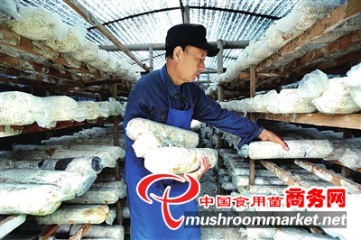 贵州省三都县：食用菌产业助增收 壮大村集体经济