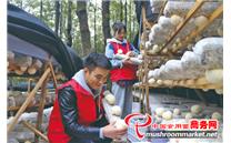 贵州省三穗县款场乡：猴头菇产业项目基地种植忙 提升产品品质