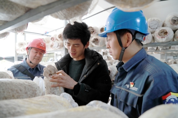 贵州省晴隆县：优质电力助产业 “车库”种出好平菇