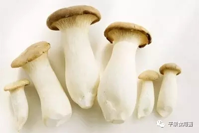 “小蘑菇”圆了致富梦——河北平泉县发展食用